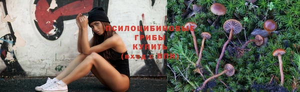 первитин Костерёво