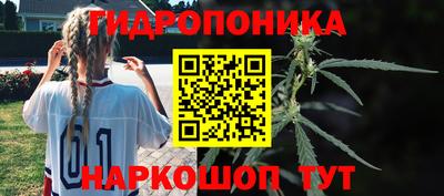 СК Будённовск