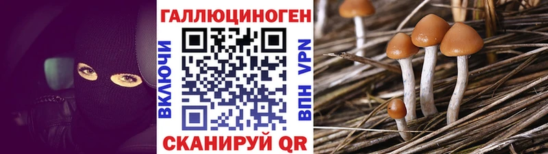 Галлюциногенные грибы Magic Shrooms  Ижевск 